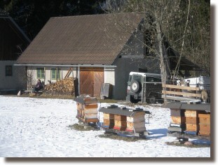 Alle Tiere: Gudrun, Bienen, Lamas und Katzen