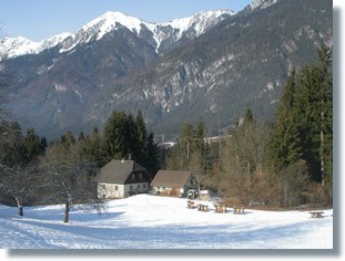 Gailtaler Bienenhonig - Natur pur