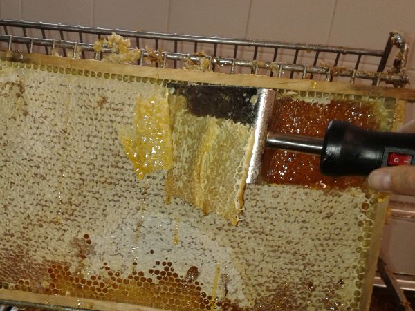 Endeckeln einer Honigwabe